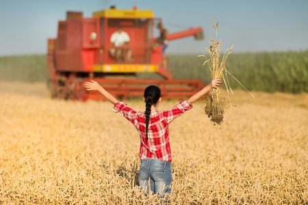 Young woman in plaid shirt standing on wheat field with raised arms in front of combine harvesterの写真素材