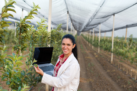 Young woman agronomist with laptop standing beside apple tree in modern orchard with anti hail netの写真素材