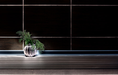 Wilted dill in a pot on kitchen countertop, dark tiles in backgroundの写真素材