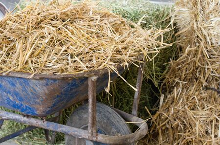Close up of old wheelbarrow with dry straw for cattle feedの写真素材