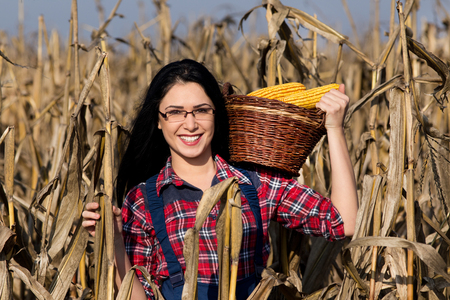 Young happy girl with basket full of corns on the shoulder in corn fieldの写真素材