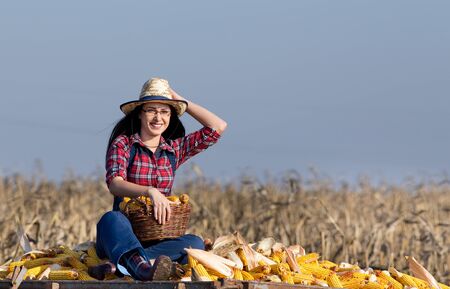 Young happy woman with straw hat sitting on corn pile in tractor trailer and holding basketの写真素材