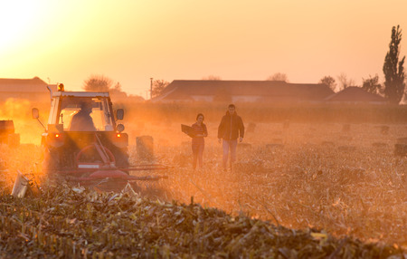 Woman farmer and businessman walking on the field during baling strawの写真素材