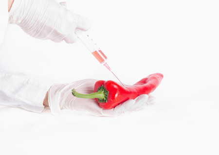 Close up of scientist's hands with protective gloves holding red pepper and applying injection. GMO...