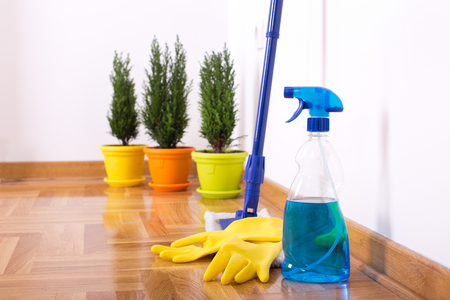 Mopping stick with spray bottle and rubber gloves standing on parquet beside white wall. Three plants in backgroundの写真素材