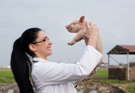 Young happy veterinarian girl raising piglet high in the air on the farmの写真素材