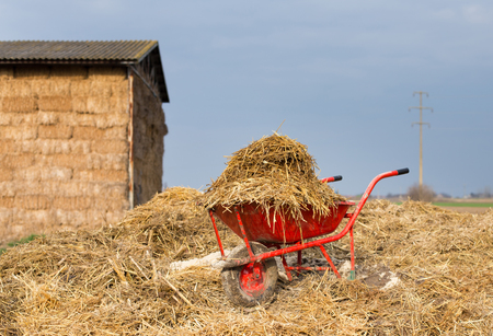 Wheelbarrow with natural cattle manure on the farmlandの写真素材