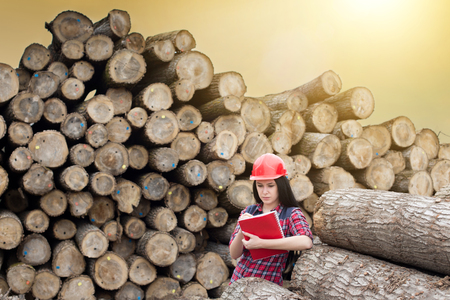 Young female lumber engineer standing beside cut logs and writing notes
