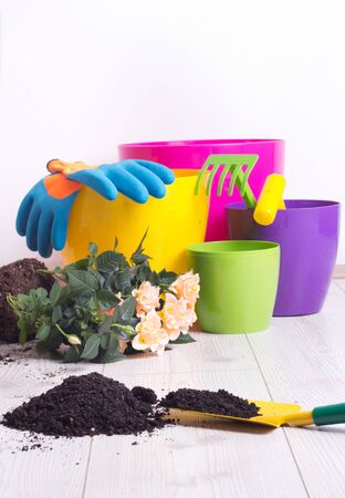 Planting and gardening concept. Colorful flower pots, plant  and gardening equipment on bright wooden floorの写真素材