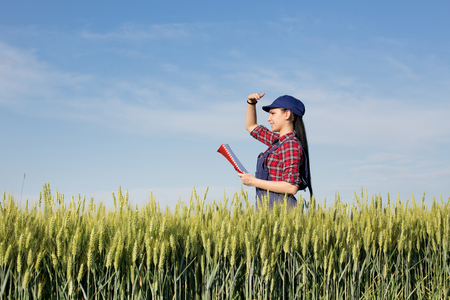 Young pretty farmer girl standing in green wheat field and looking in distance with hand blocking sunの写真素材
