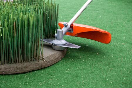 Model of grass trimmer cutting model of high grass