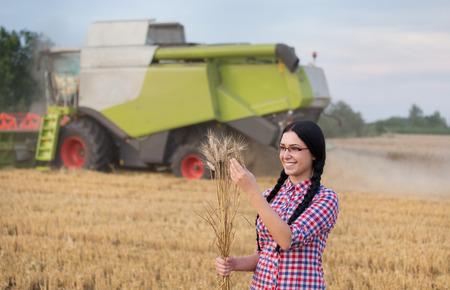Young pretty woman looking at wheat ears in field while combine harvester working in backgroundの写真素材