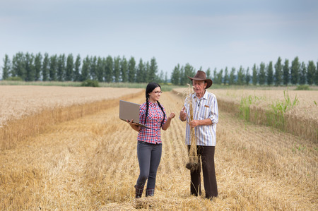 Senior man and young woman with laptop standing in ripe wheat fieldの写真素材