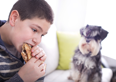 Obedient dog looking at hungry boy eating pizza sliceの写真素材