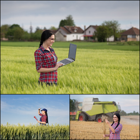 Barley growing and harvesting collage. Images of young woman engineer following cereal production processの写真素材