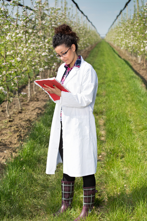Young woman agronomist in white coat standing in orchard with blossoming trees and writing notesの写真素材
