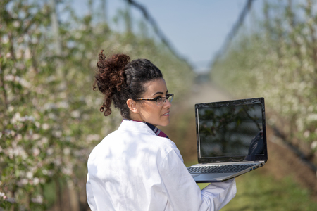 Young woman agricultural engineer in white coat with laptop standing in modern orchard with blossoming trees in spring and looking over shoulderの写真素材