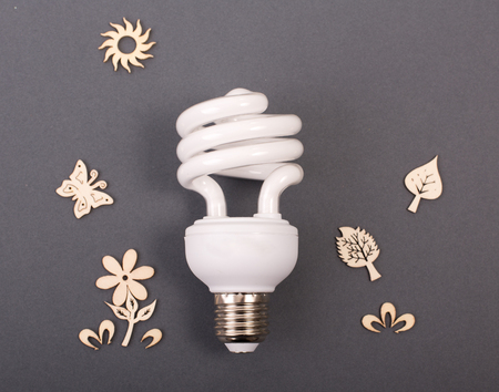 Ecology and energy saving concept. Collage of eco bulb with plants, butterfly and sun. Natural friendly light technologyの写真素材