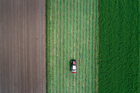 Aerial view of tractor mowing lucerne shot from drone directly aboveの写真素材