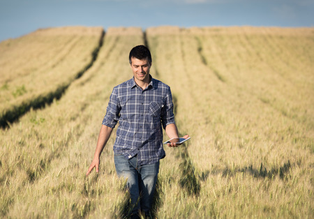 Young handsome farmer with tablet walking in wheat field in early summerの写真素材