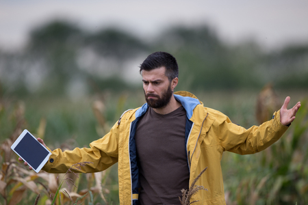 Young attractive farmer standing disappointed and angry in corn field because of bad plant condition