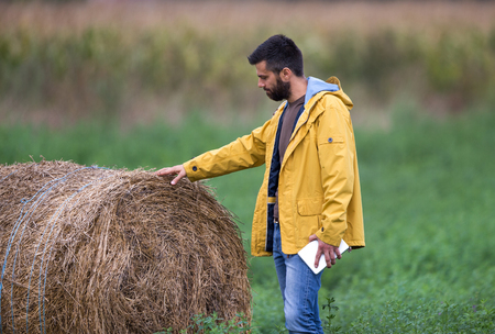 Farmer with tablet standing beside rolled bale and making business plansの写真素材
