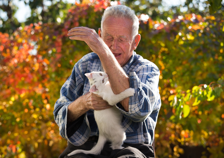 Senor man playing with young white cat in garden. Playful baby animal biting man's hand and scratching his wrinkled skinの写真素材