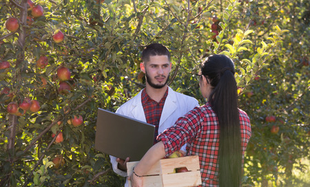 Agronomist in white coat with laptop standing in front of young pretty farm woman with crate full of...