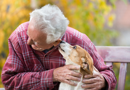 Cute dog kissing senior man on bench in park with yellow tree in background in autumn. Pet love and care concept. Dog conncetion to people. Alternative therapyの写真素材
