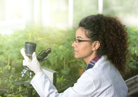 Young woman biologist holding flower pot with sprout and checking it growth. Plant protection conceptの写真素材