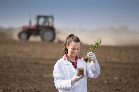 Young pretty woman agronomist in white coat checking wheat crop quality. Tractor in backgroundの写真素材