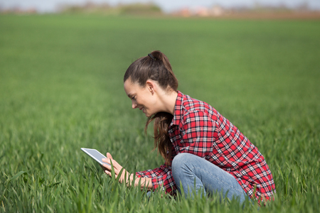 Young pretty farmer woman in plaid shirt squatting in green wheat field and checking crop qualityの写真素材
