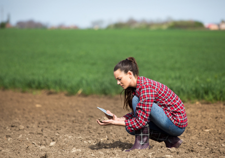 Young pretty farmer woman with tablet checking soil quality on fieldの写真素材