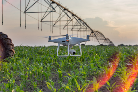 Drone flying and mapping corn field in front of irrigation system. Farmland surveying and modern...