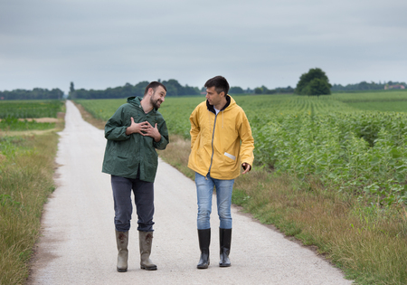 Two funny farmers walking on country road beside corn field in spring