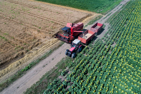 Aerial image of combine harvester loading trailer of tractor with wheat grain in summer shoot from droneの写真素材