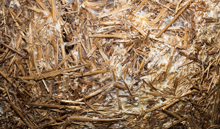 Top view of straw prepared for mushrooms growth, as background texture imageの写真素材
