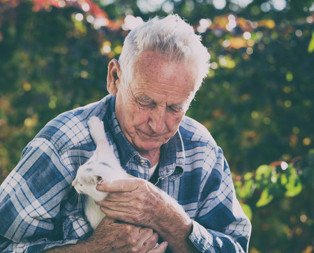 Senior man with little white cat in gardenの写真素材