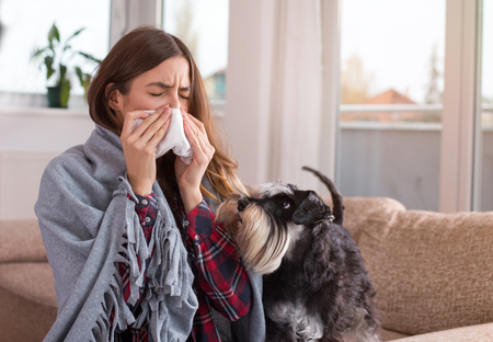 Young woman sitting on sofa at home covered with blanket with dog beside her and sneezing. Cold and flu season conceptの写真素材