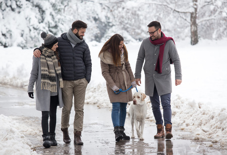 Two couples walking dog in park in winter time with lot of snowの写真素材