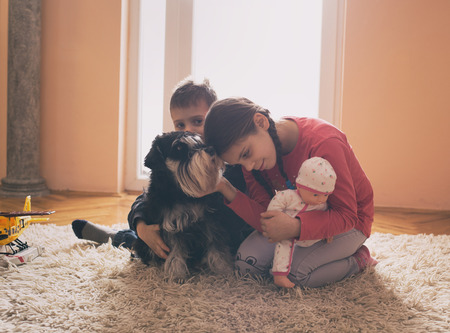 Boy and girl playing with toys and dog on carpet in living room beside windowの写真素材