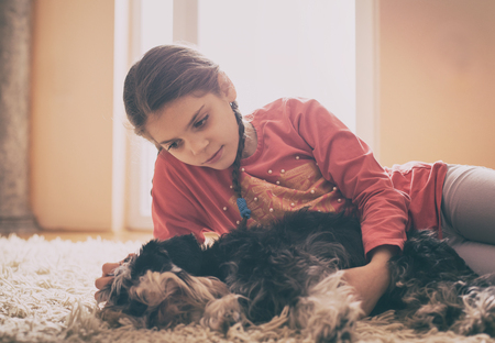 Cute girl cuddling dog on carpet in living room beside windowsの写真素材