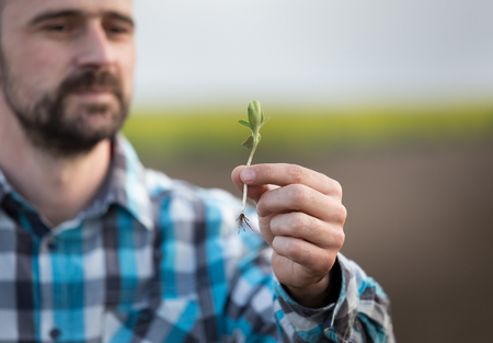 Close up of farmer's hand holding seedling in field with farmland in backgroundの写真素材