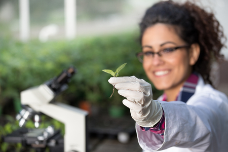Young woman biologist holding sprout and checking it's health. Plant protection conceptの写真素材
