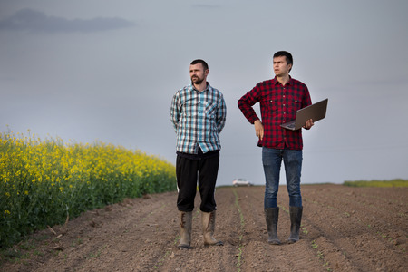 Two farmers with laptop walking beside rapeseed field