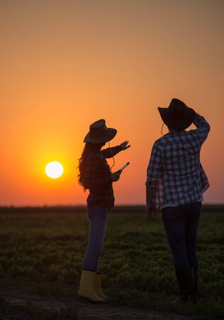 Two farmers with tablet looking at soybean field at sunset in early summer timeの写真素材
