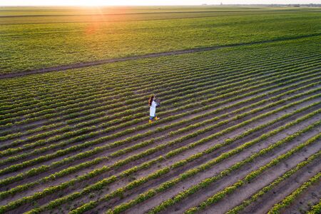 Aerial image of handsome young agronomist in white coat holding laptop and checking soybean quality...