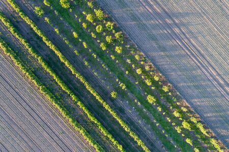 Abstract image of aerial view of agricultural fields shoot from drone in spring