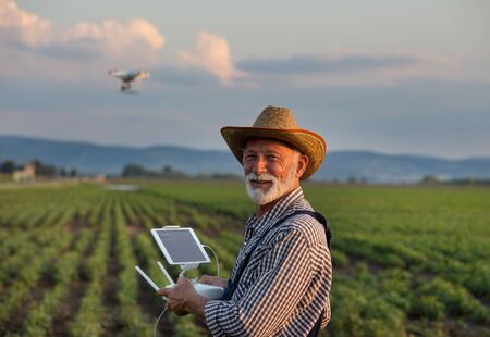 Old farmer with hat holding remote control for drone flying above soybean field in summer