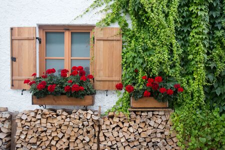 Wooden window with red geraniums in flower pot above firewood against white wall